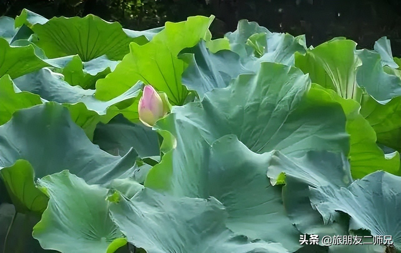 清远峰林晓镇游玩攻略,清远旅游攻略峰林