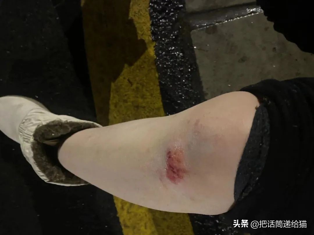 江苏偷猫事件,偷猫人被抓新闻