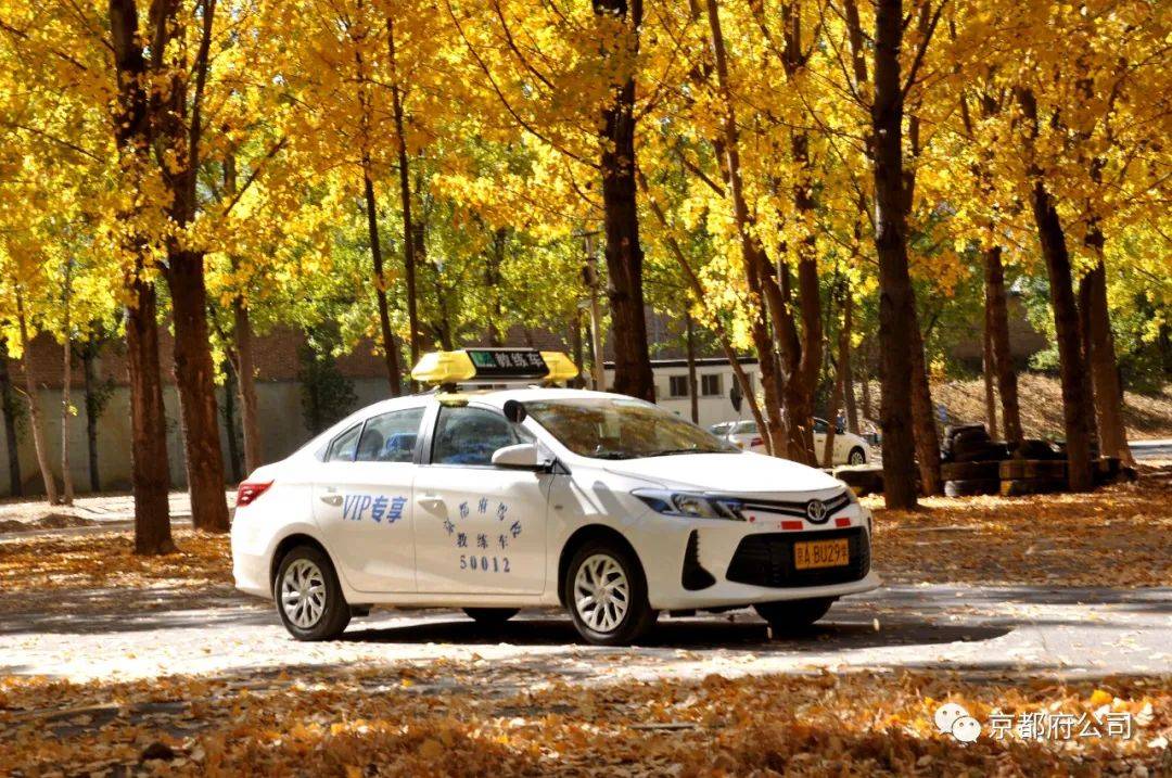 科目二考试的实用技巧和经验,科目二考试有哪些容易通过的技巧