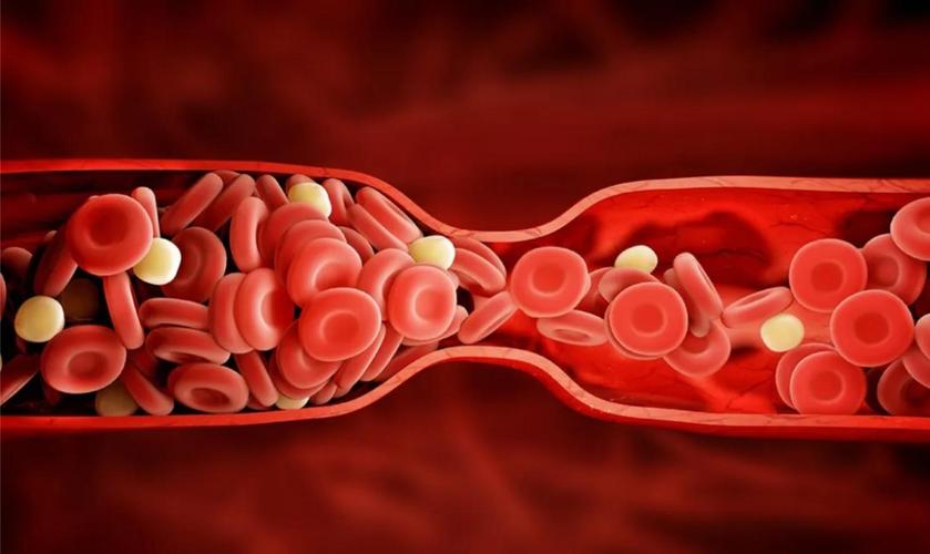 千古解郁第一方越鞠丸,中医聊越鞠丸功效