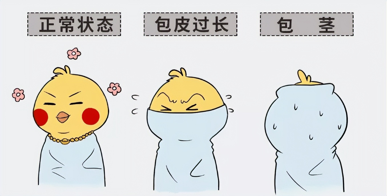 夏天来了赶紧把冰箱收拾好,暑假来了隔热膜