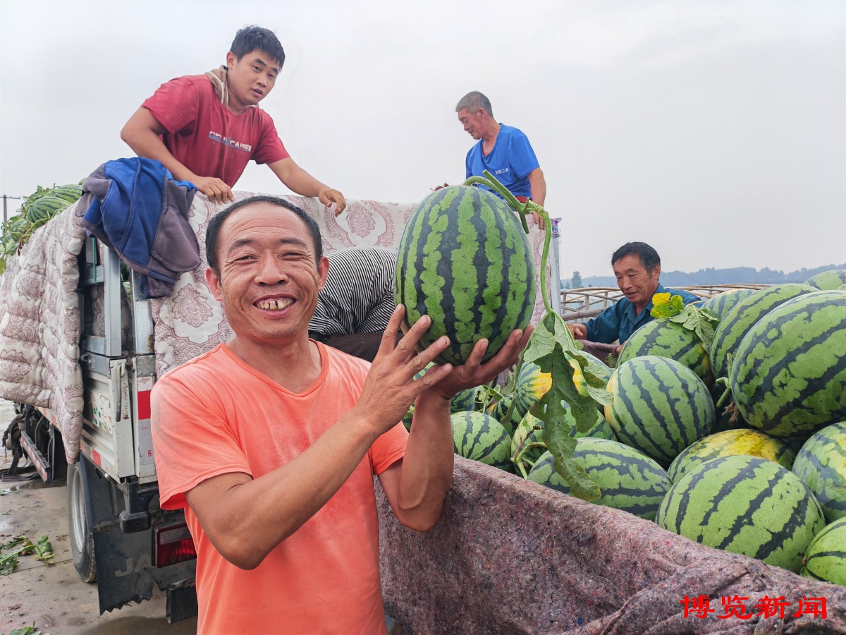 乡村振兴增收措施,乡村振兴的致富项目