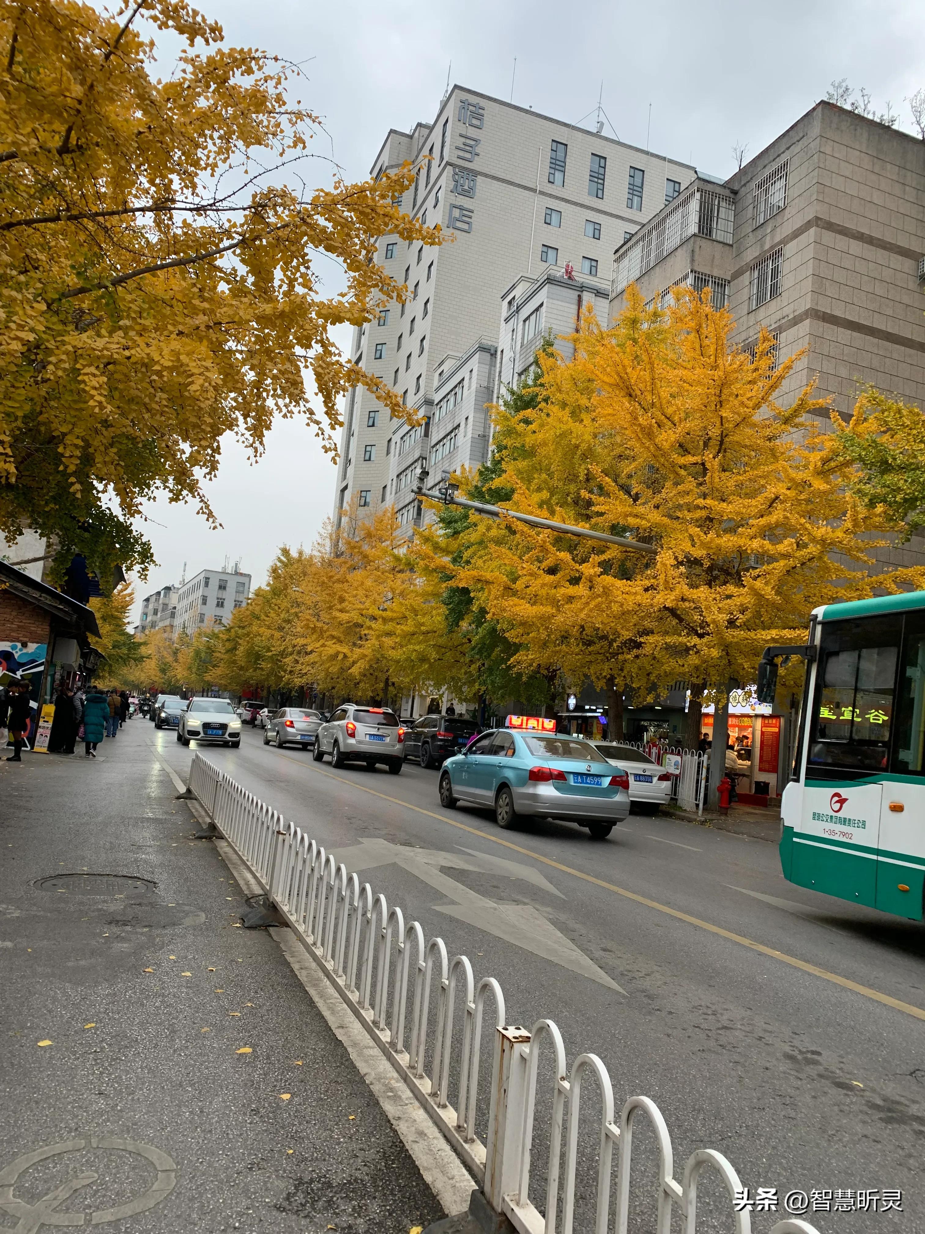 我的成长日记咋写,我的成长日记大全