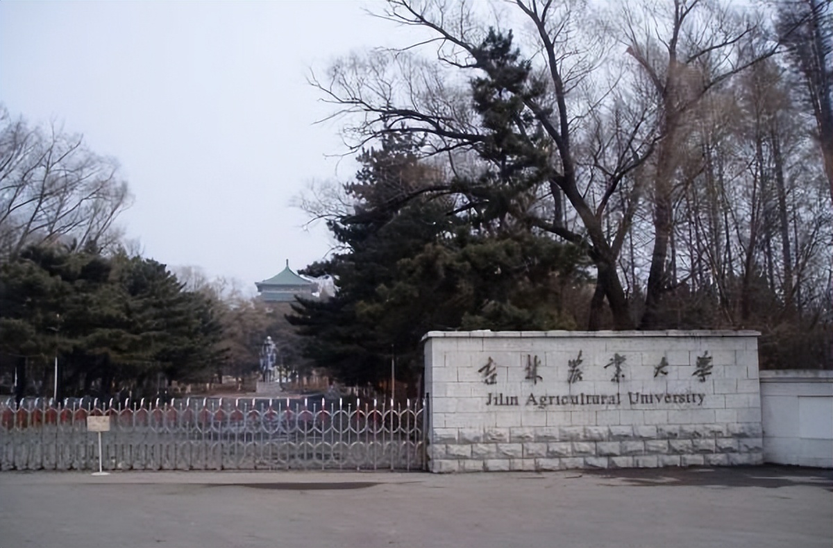 东北长春所有大学排名,长春师范大学排名全国