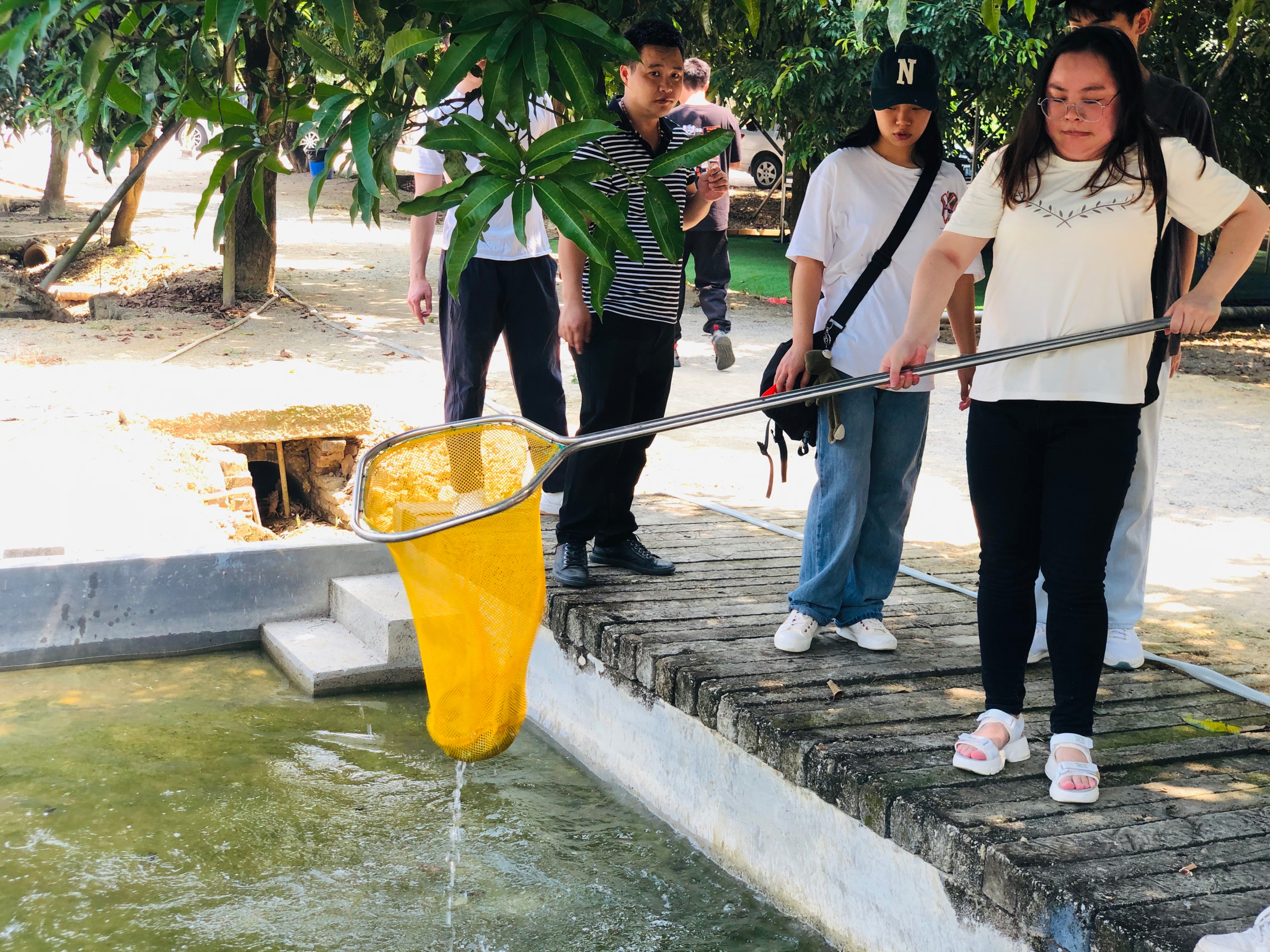 惠州国庆农家乐和休闲农庄,惠州有海边又有农庄的地方推荐