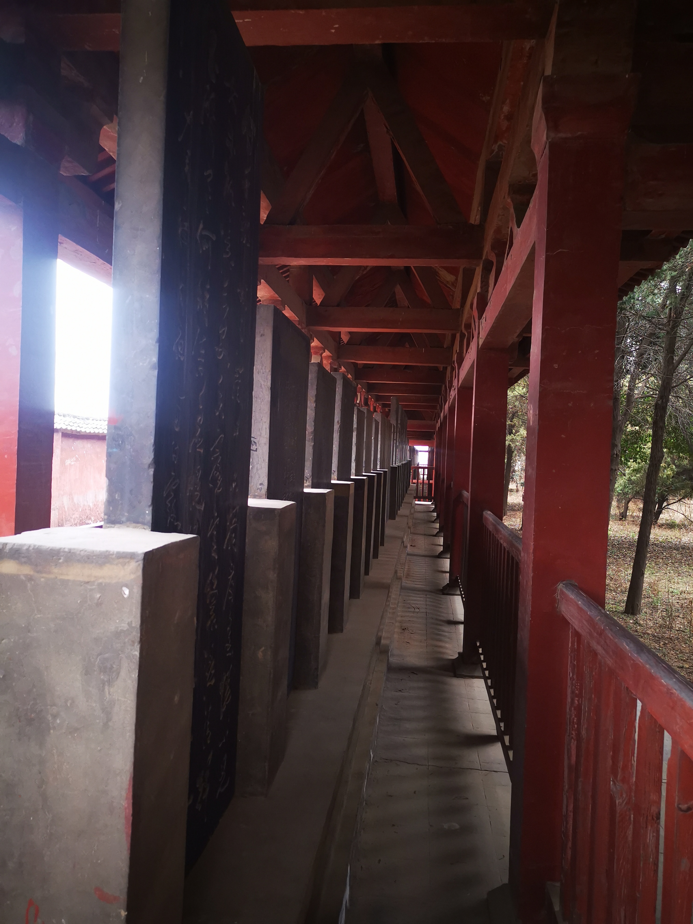 杜甫墓祠平江,杜甫墓被挖开后的样子