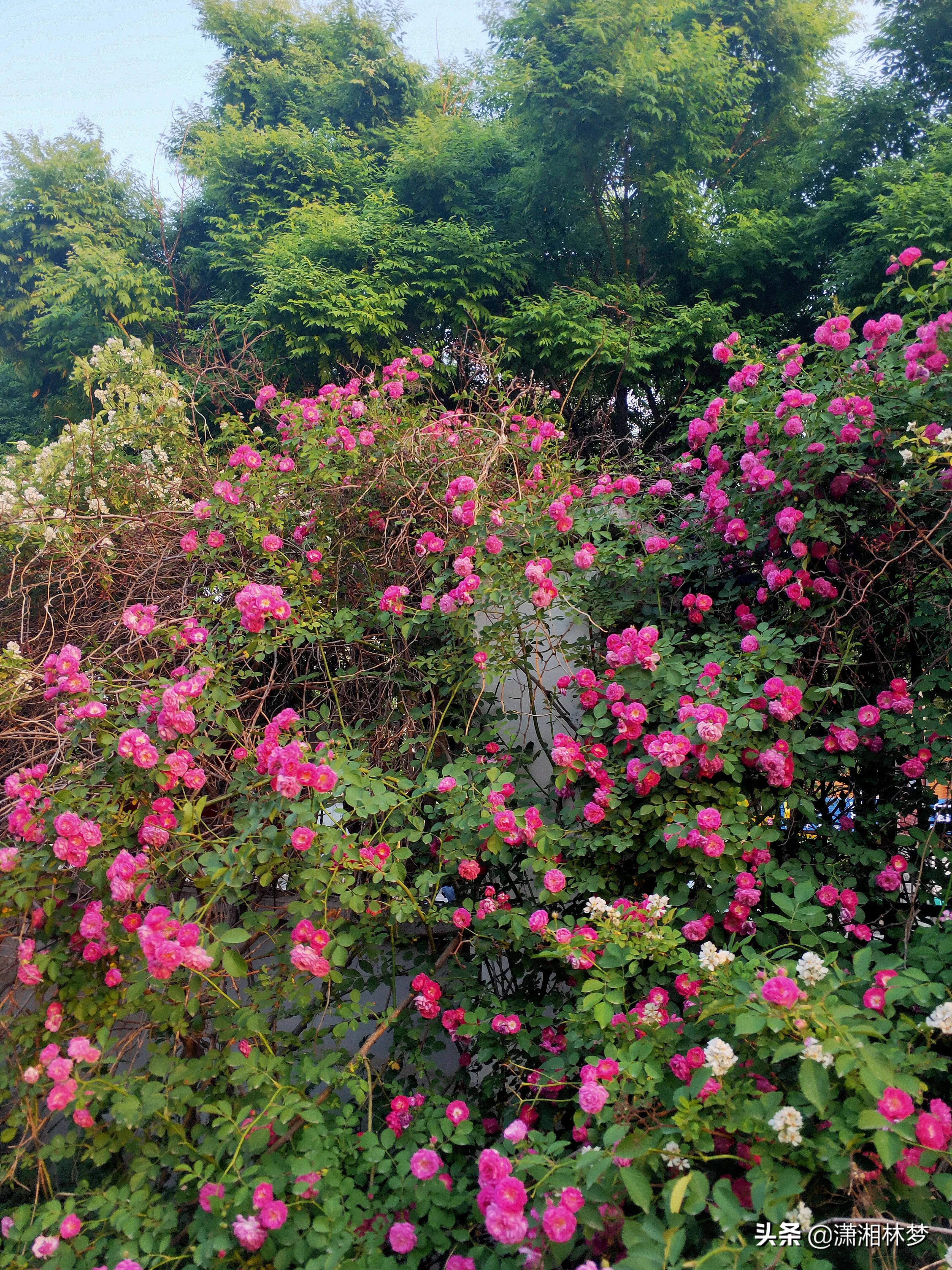 要如何涨粉才快,怎样快速涨粉涨关注