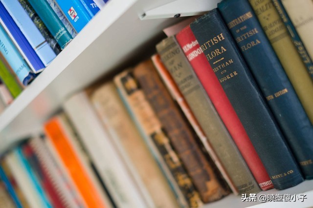 超级治愈的年度宝藏书籍好书推荐,书香雅致书籍推荐