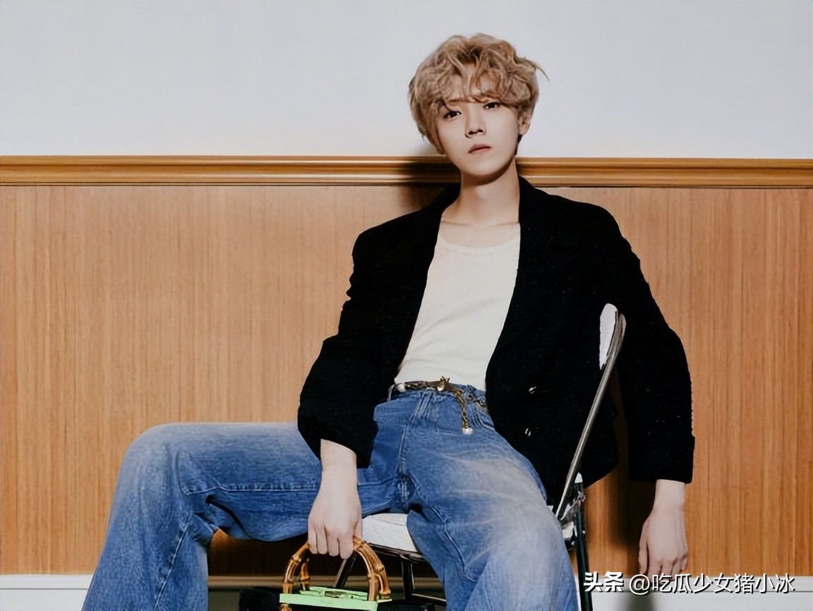 鹿晗外套被粉丝调侃,鹿晗1500块外套