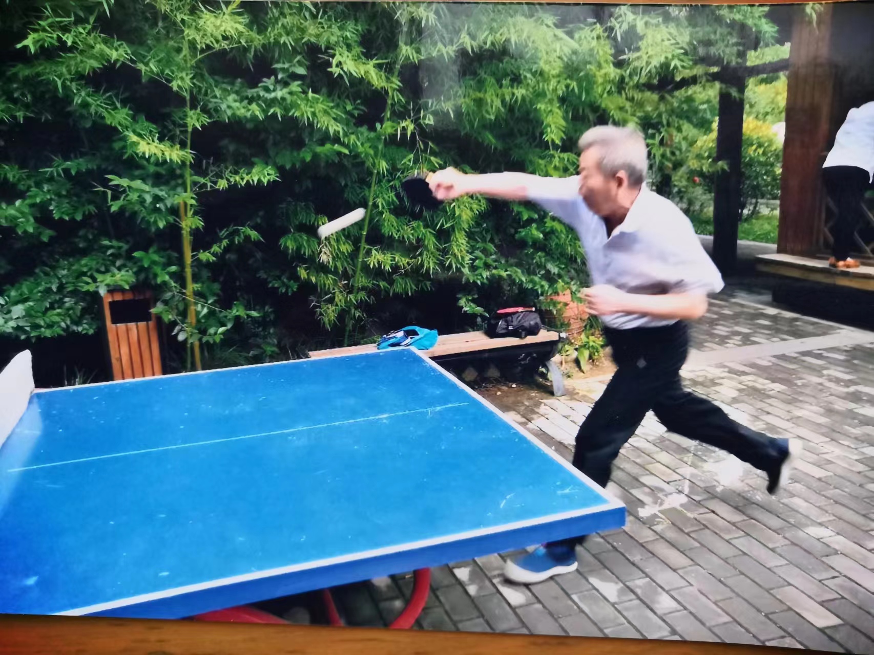 银球伴我度人生——我与乒乓球的不解之缘