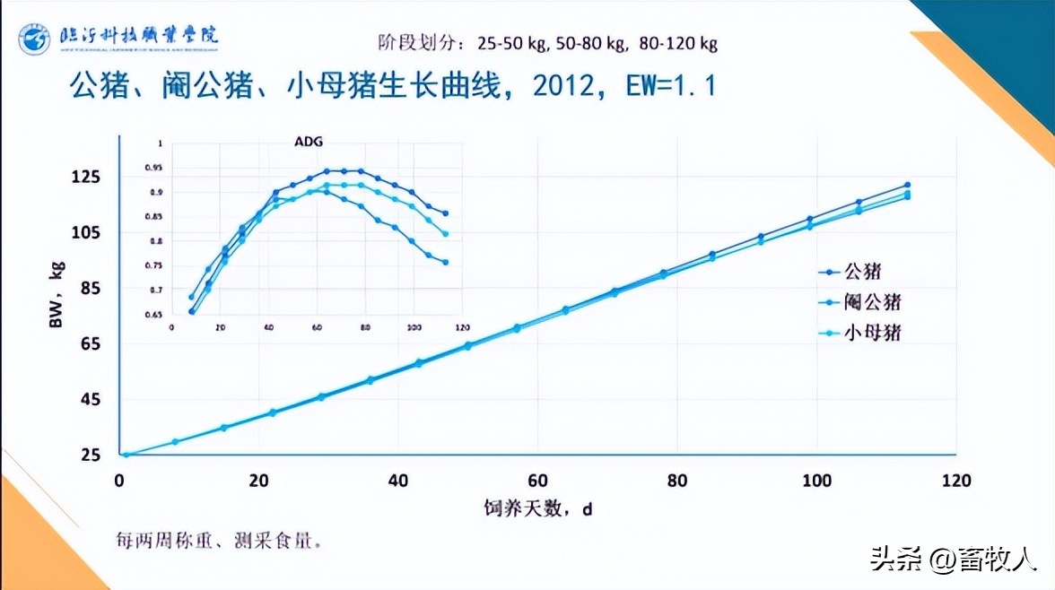 万建美博士:母仔一体化低蛋白猪料配方方案的设计与应用关键