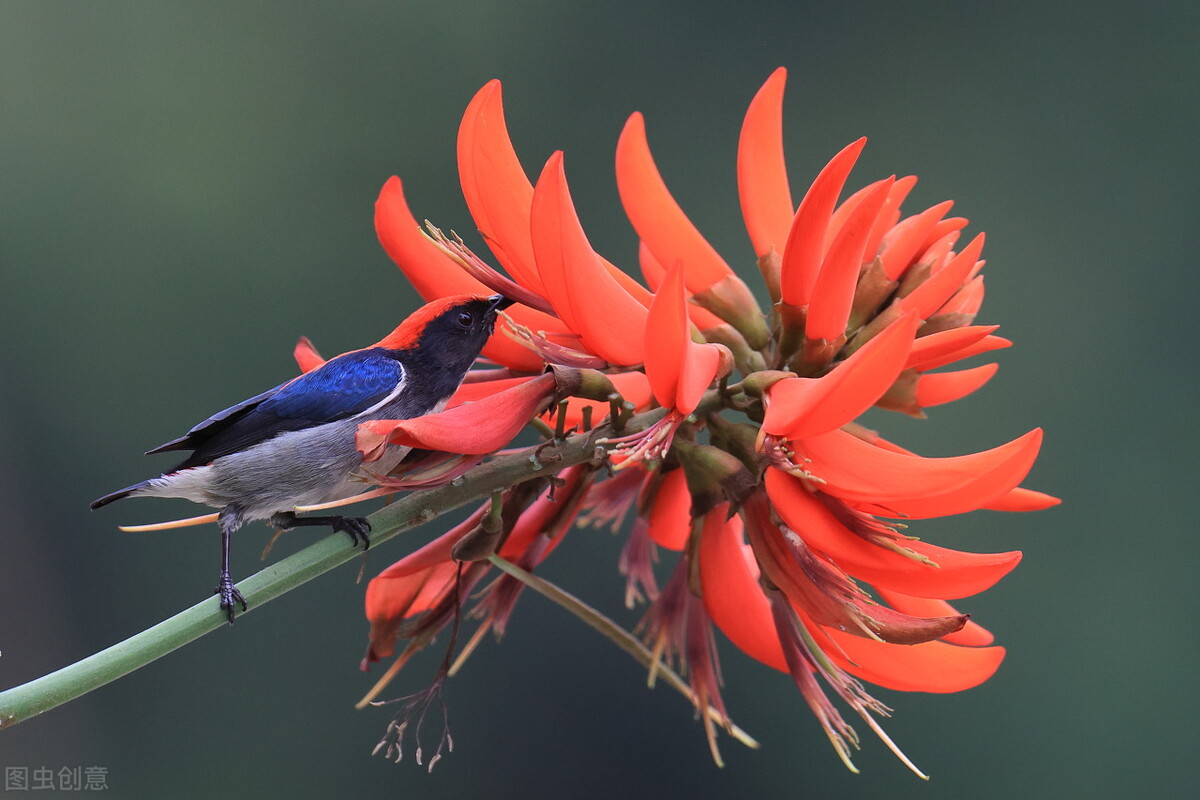 不一样的三月阳春,不一样的广州市