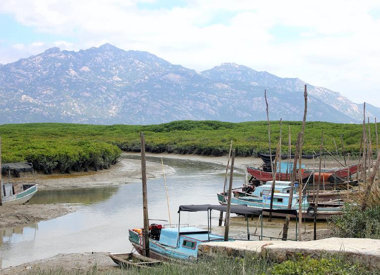 福建造假烟是哪个县,福建制造假烟的地方