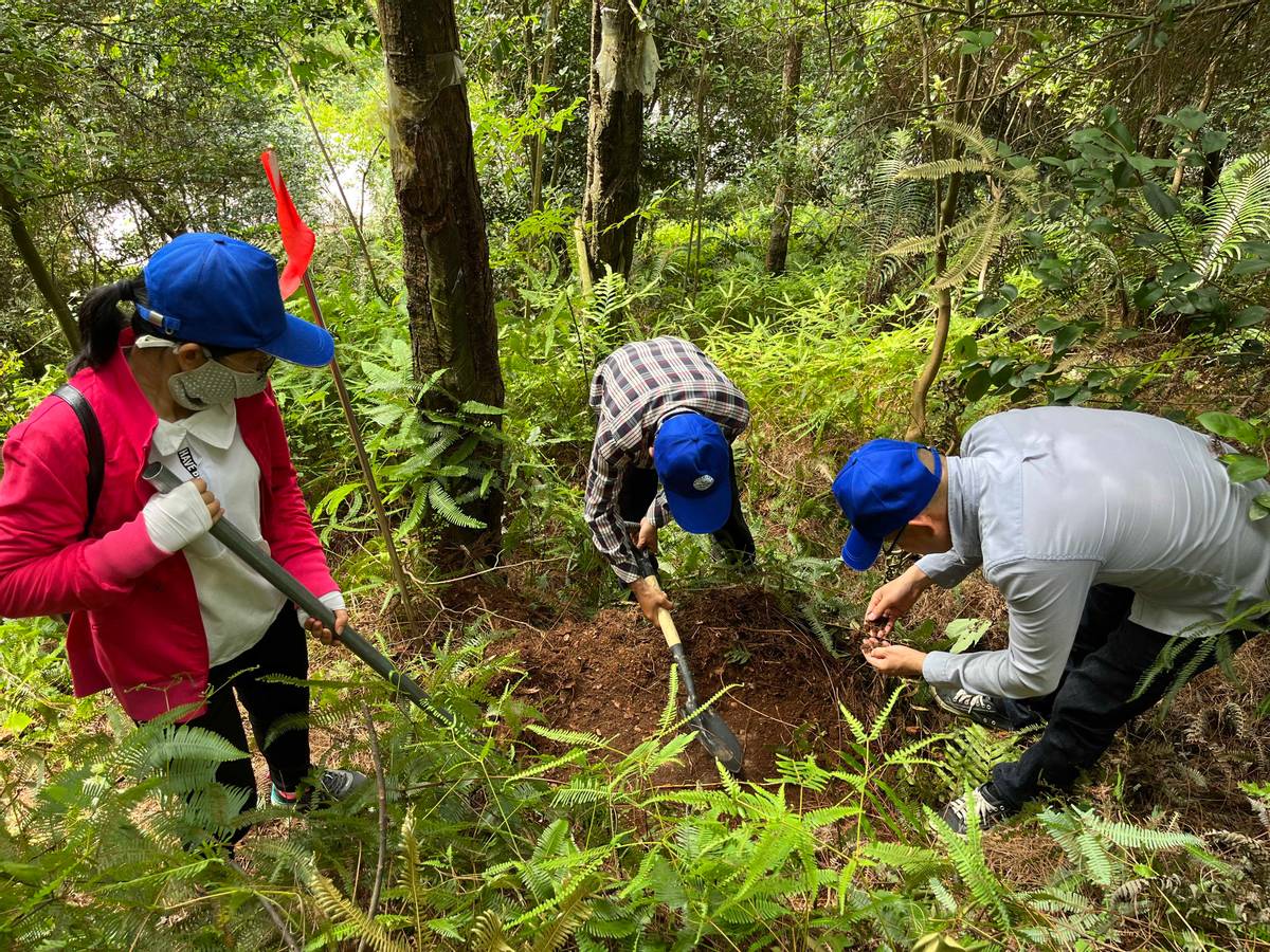 土壤普查与采样方法有哪些,土壤样品的采样方法有哪几种