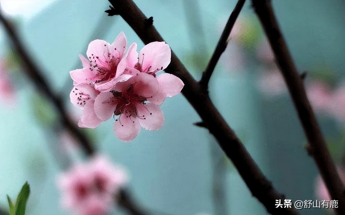 如何看出人有富贵之相,有贵相的人命运