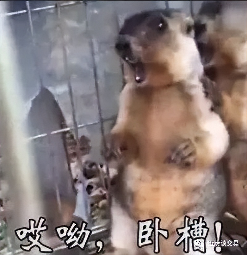 交易员一个月八万,股市交易员工资