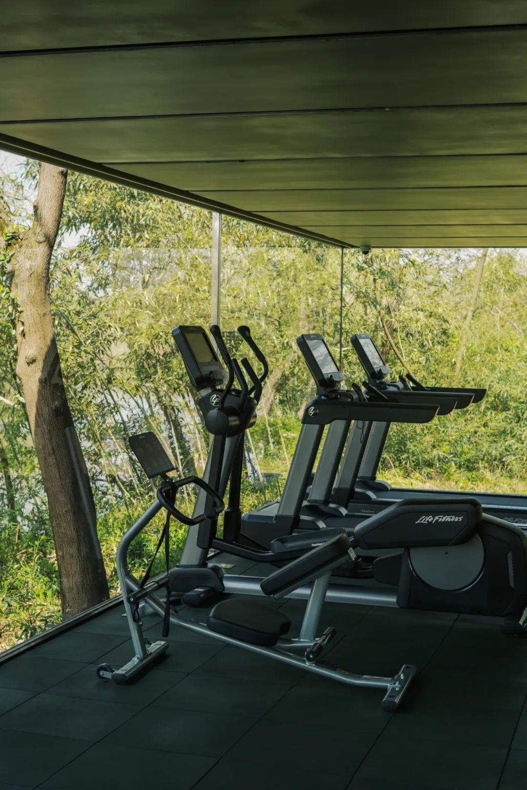 春天的潺潺溪水,春天的顶流