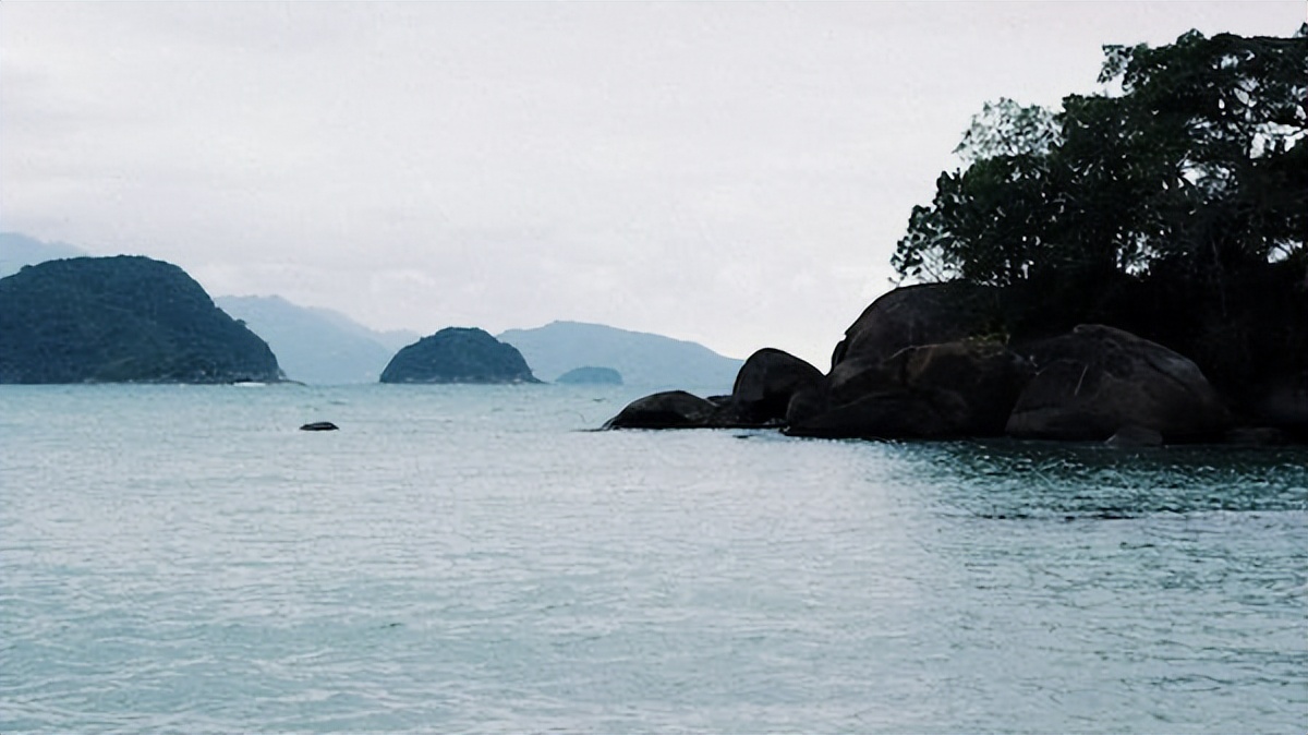 动听的音乐美文,音乐美文推荐