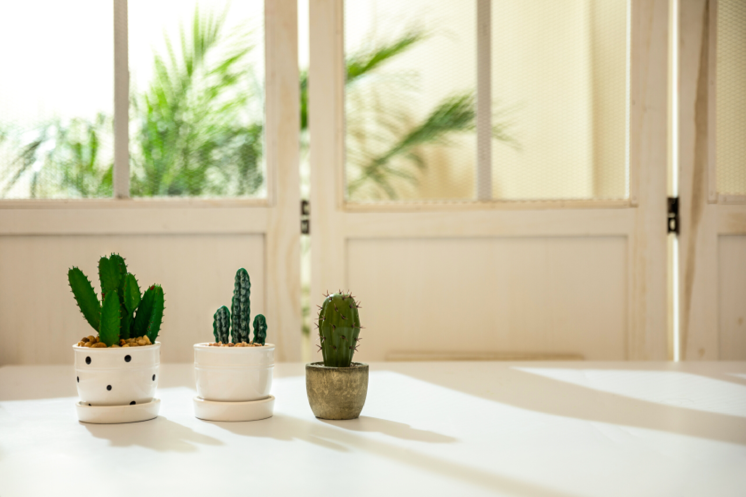 时常感到焦虑难过，该如何面对自己？4招教你摆脱过度焦虑