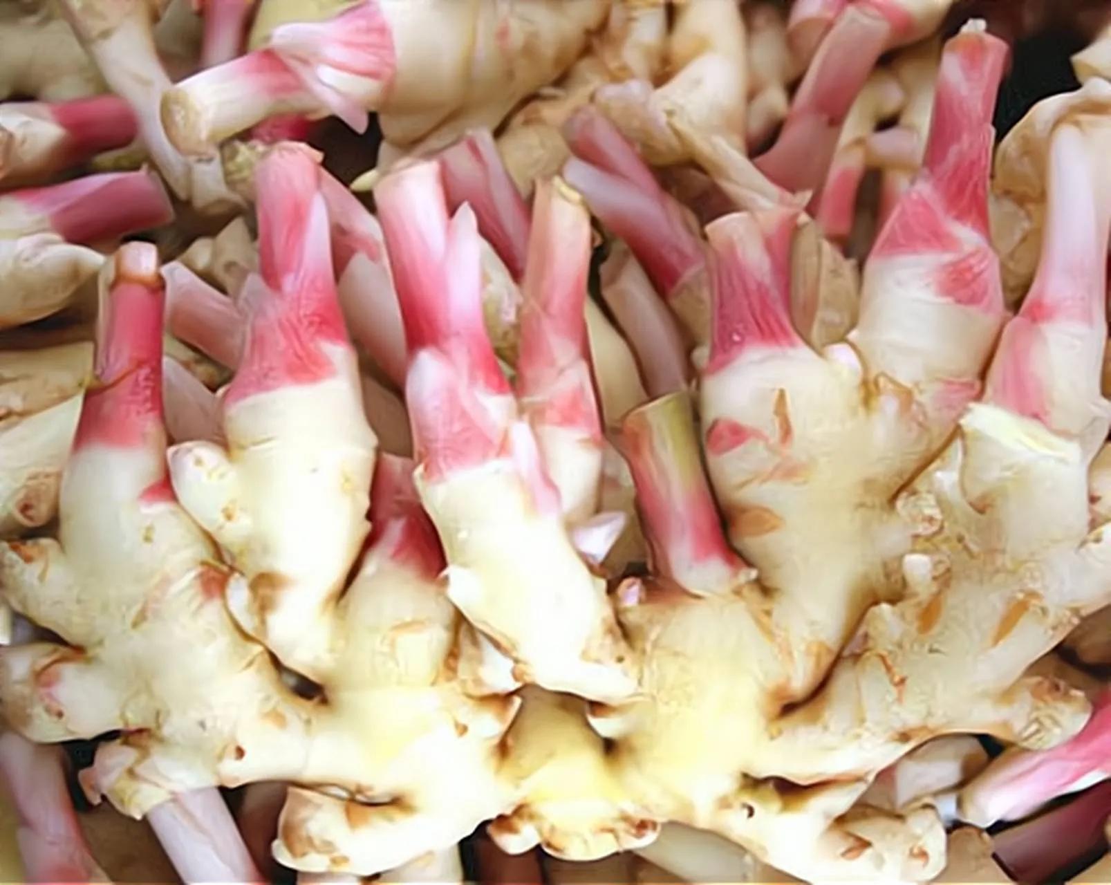 中国地理标志产品生姜,中国地理标志产品