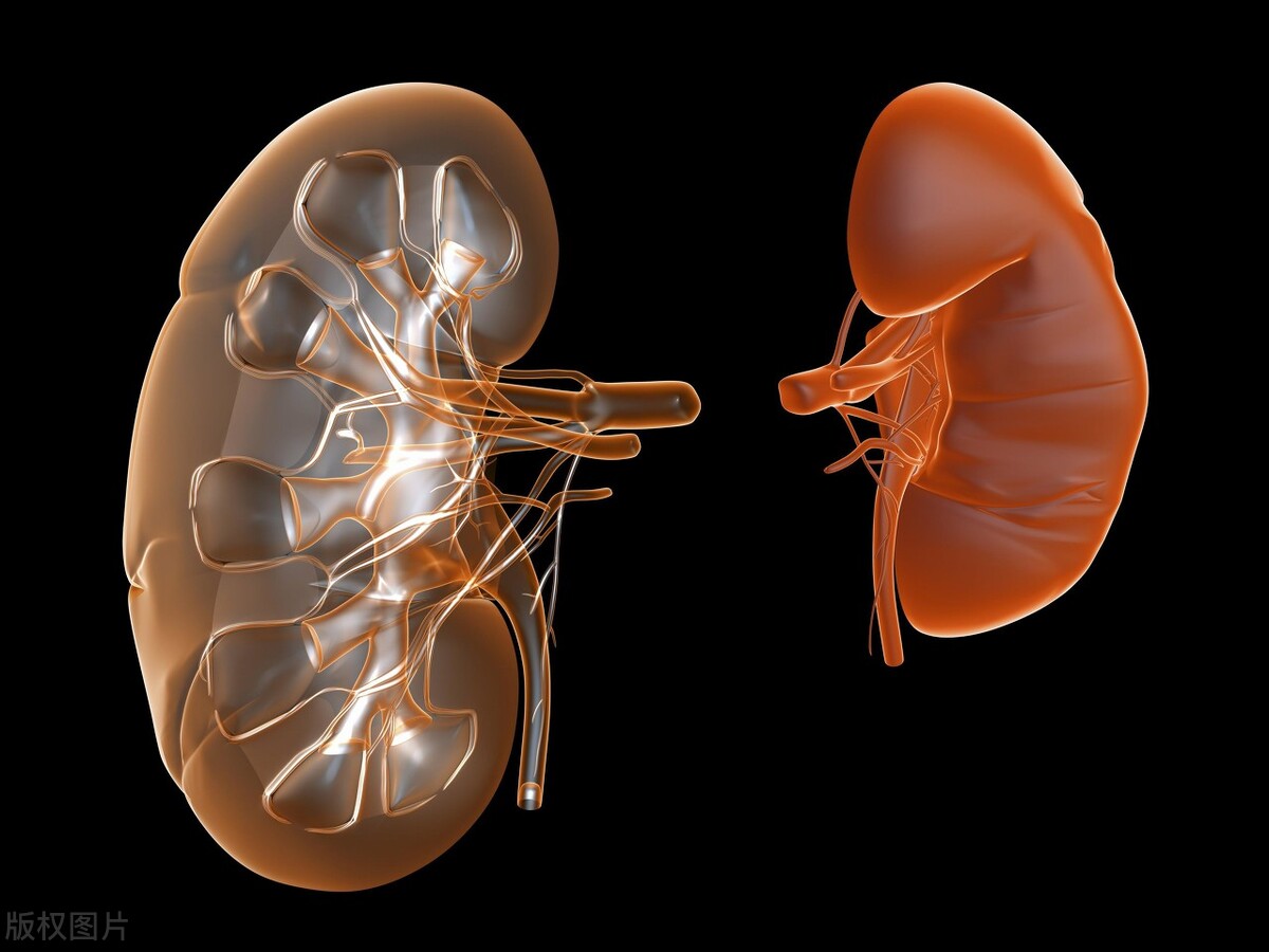 前列腺需要做好哪些检查有哪些方法？