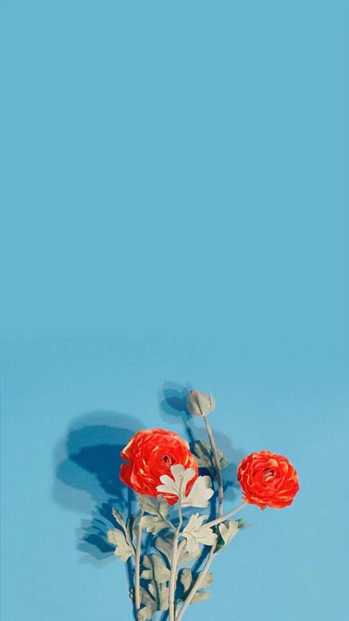 唯美手机壁纸高级感,唯美手机壁纸高清全面屏