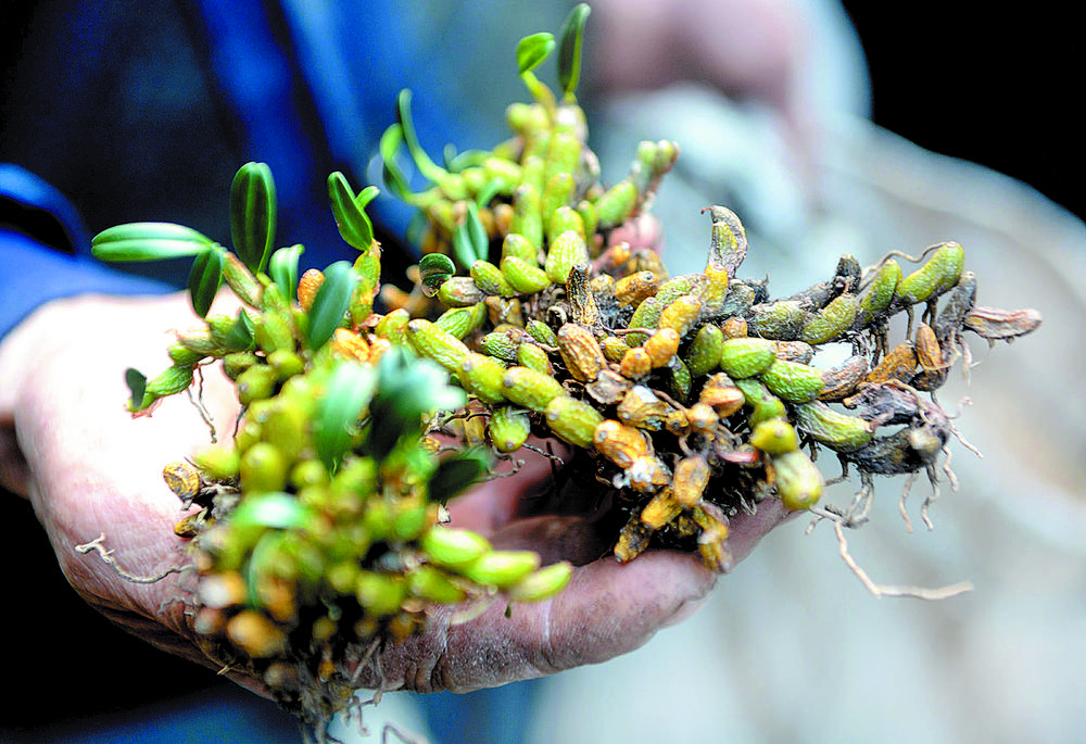 绝壁舞者户外运动,绝壁舞者电视剧