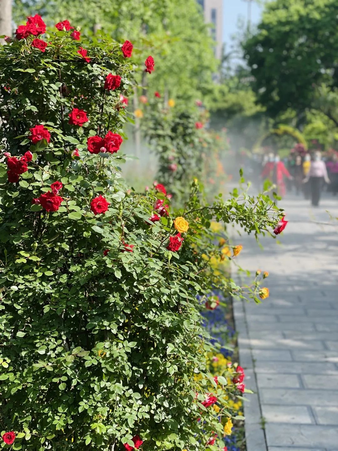 五一假期出游攻略江西,五一出游地点推荐周边免门票