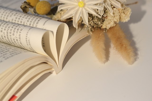 高中优秀作文1000字及点评,高中优秀作文500字加点评