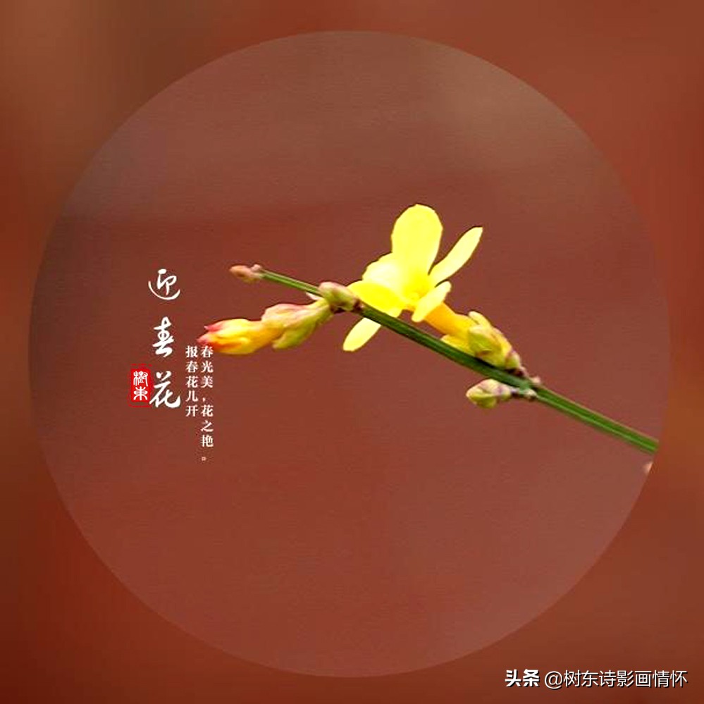 诗词中最美的春天,100句诗词写出最美的春天