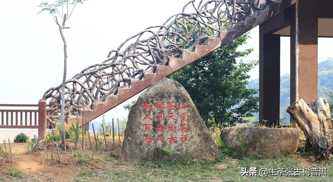 云南南糯山古茶第一村,普洱茶全球第一村南糯山
