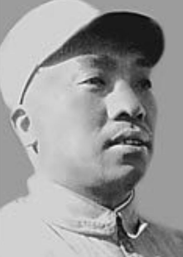 55年方强无法参加授衔,毛主席特意嘱托*荣臻聂**:你亲自去趟苏联吧