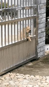 走路走累了坐下歇歇,走路累了继续走就不累了