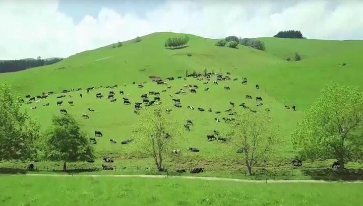 云养殖的优缺点,云养殖模式怎么样