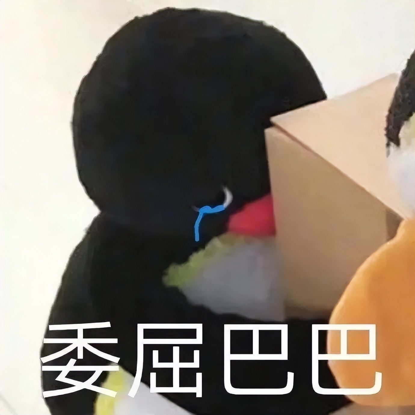 美国最受欢迎学校,最受国内认可的美国大学