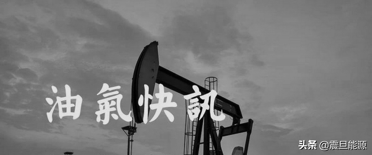 opec石油美元,opec石油化工