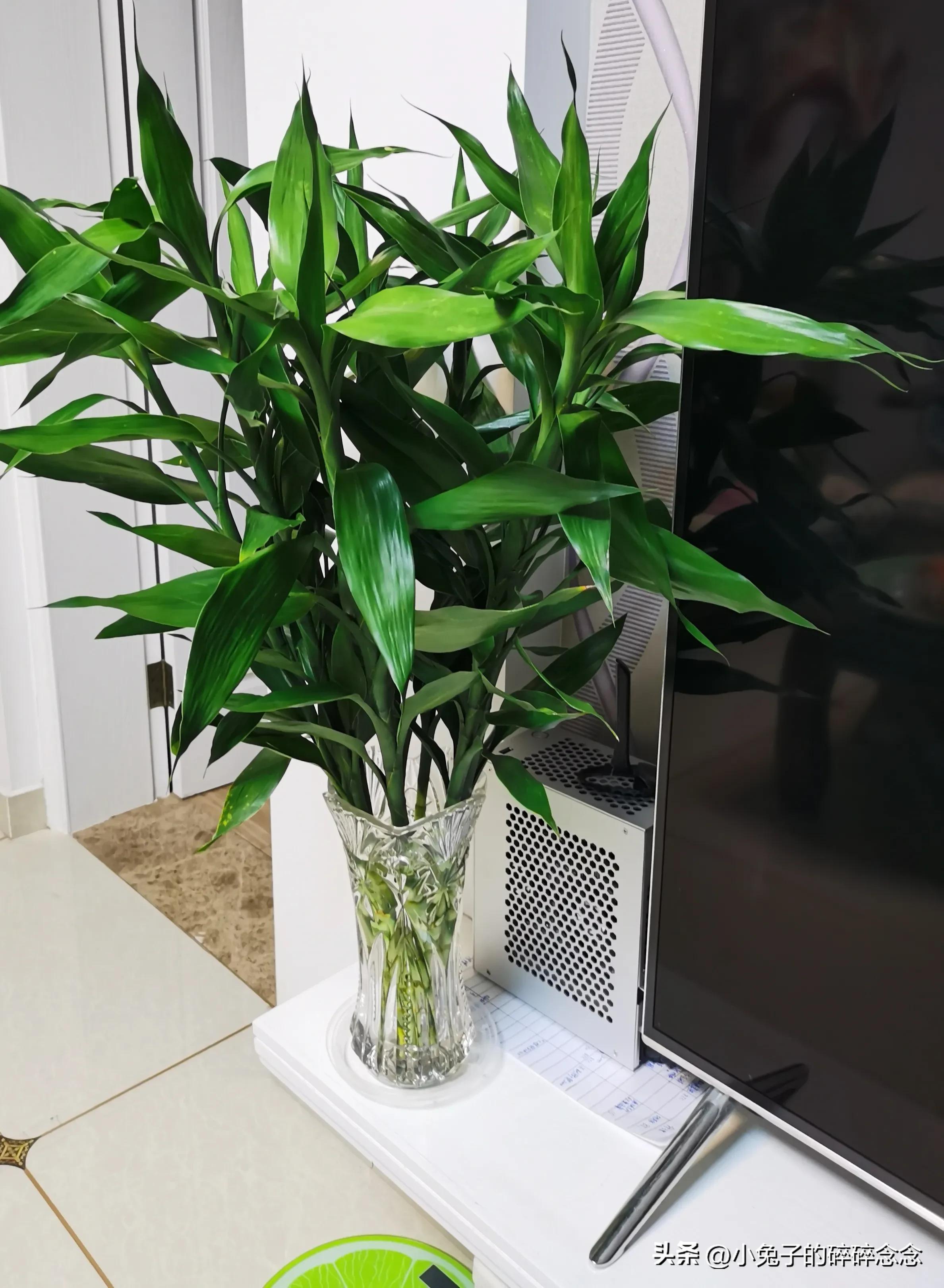 电脑选购攻略文字版,电脑选购