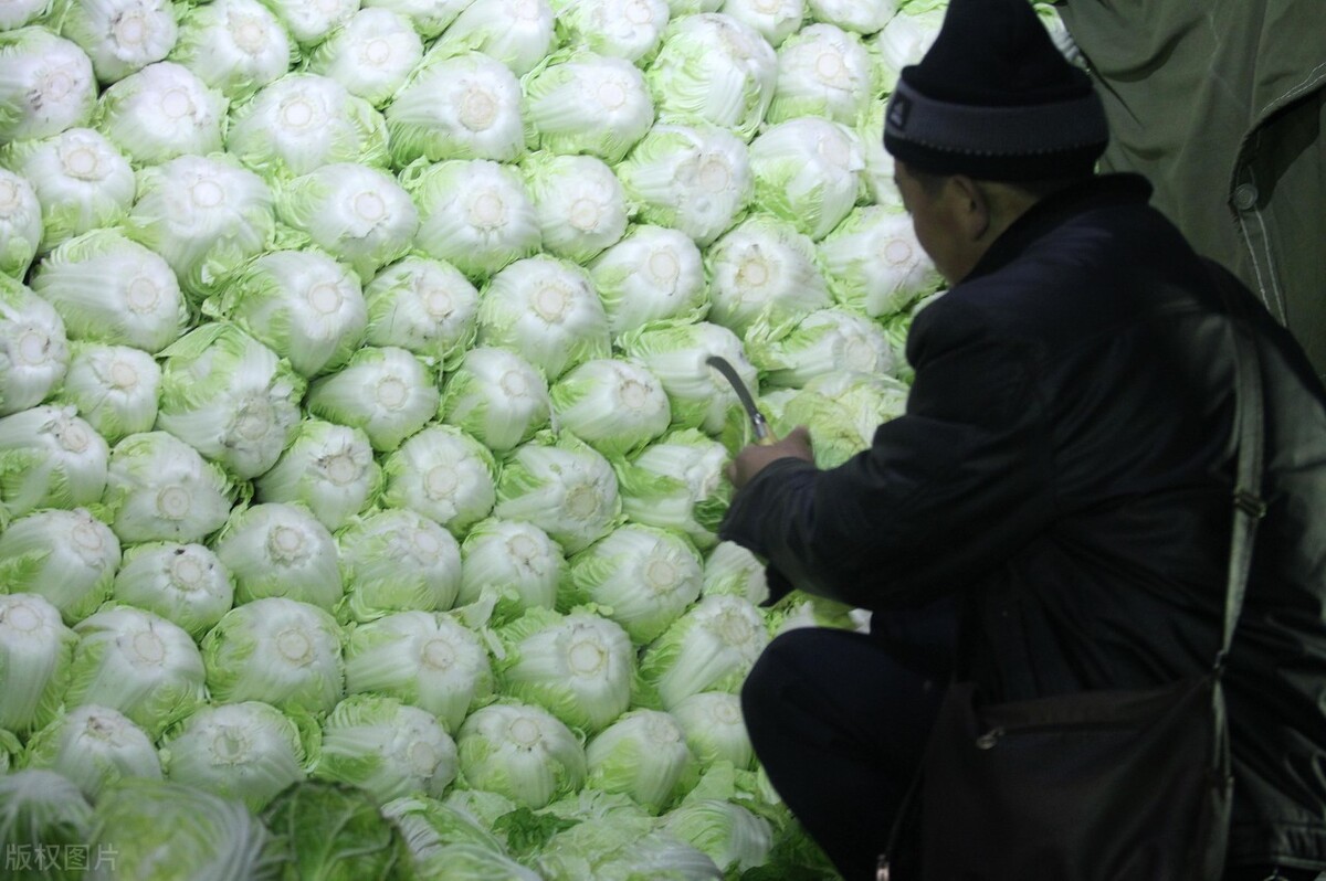 安徽夫妇在俄罗斯远东种菜，销售大白菜的时候被韩国人摆了一道