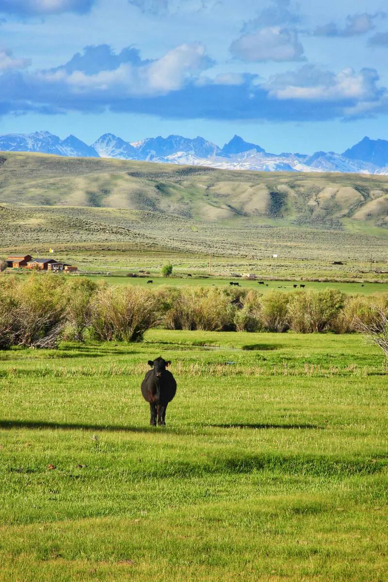 美国各州gdp排名及州府,美国50大城市GDP排名2020年