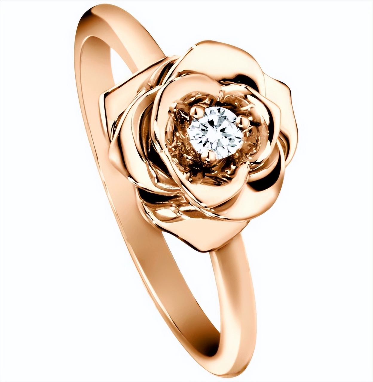 伯爵玫瑰花戒指,伯爵最美的玫瑰花戒指