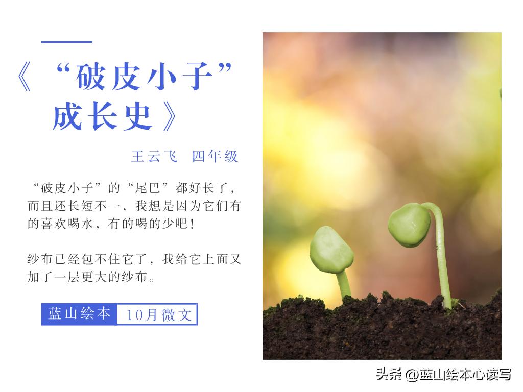 精彩生活，文字守护：蓝山绘本2022年10月微文月赛作品展示