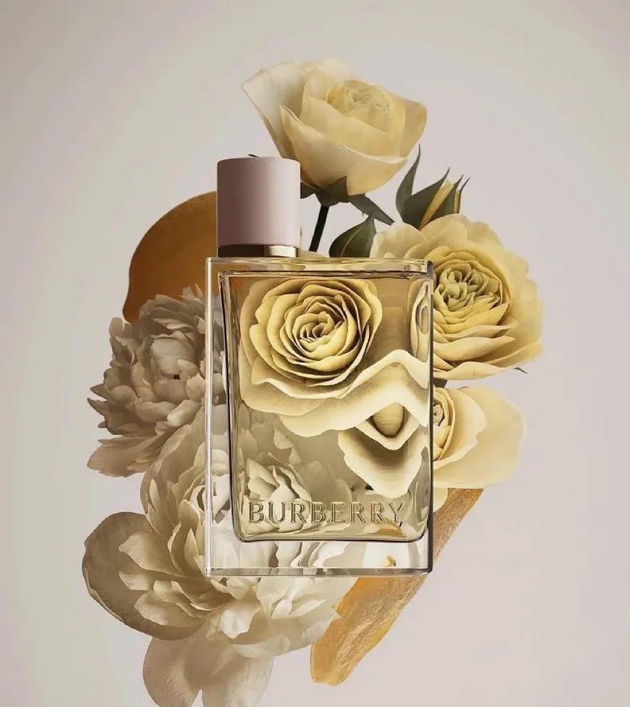 burberry英伦风穿搭,英伦风大衣burberry