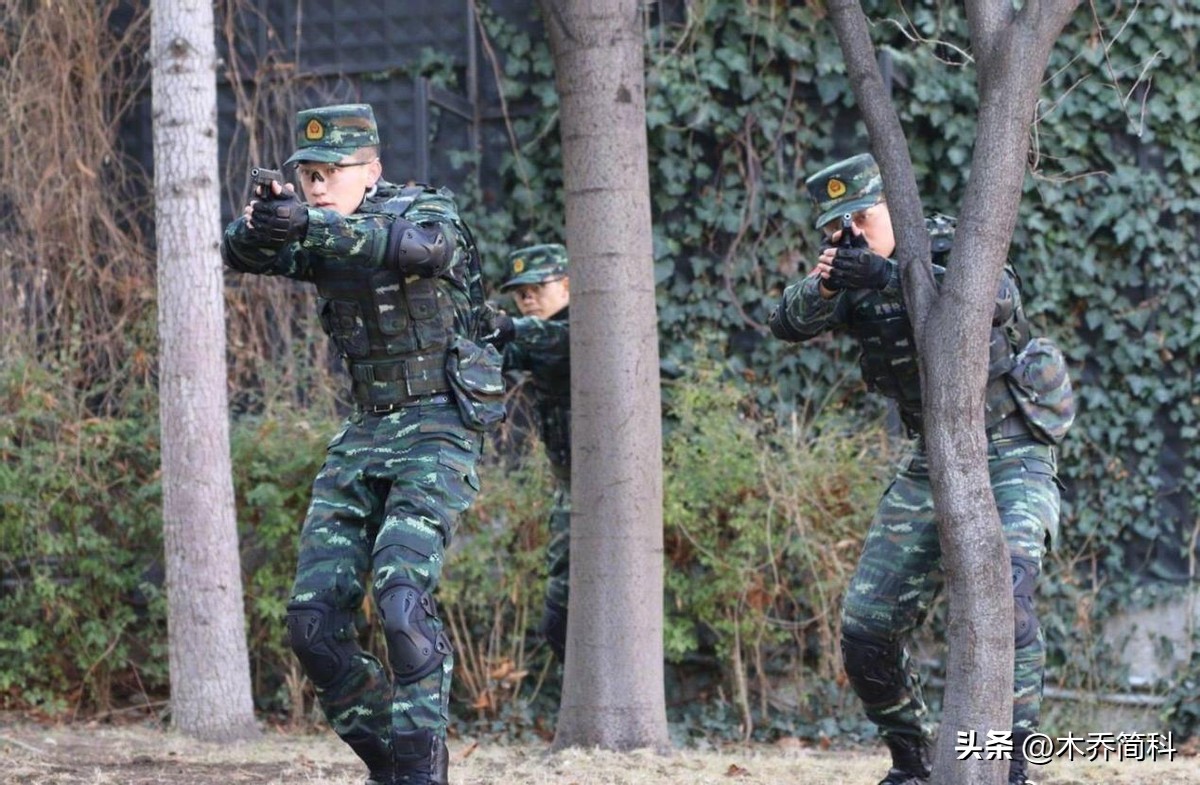 张馨予作为明星军嫂更有影响力,张馨予军嫂有多勇敢