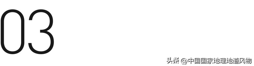 茅台酒的味道是香精调出来的吗,茅台酒的酱香是什么酱