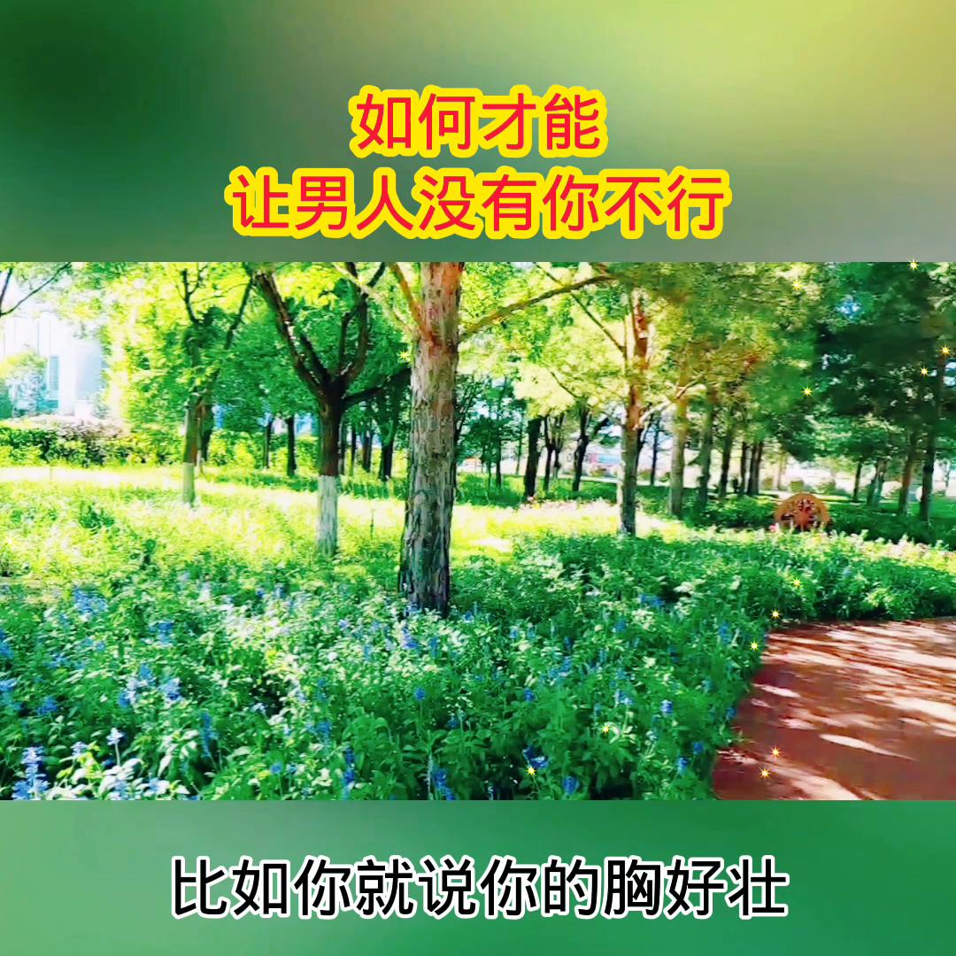 情感调解节目全部,情感电视剧连续剧免费看