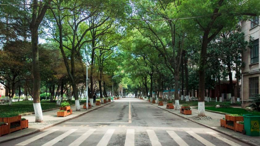 普通“四非”高校的武汉科技大学，实力到底怎么样？