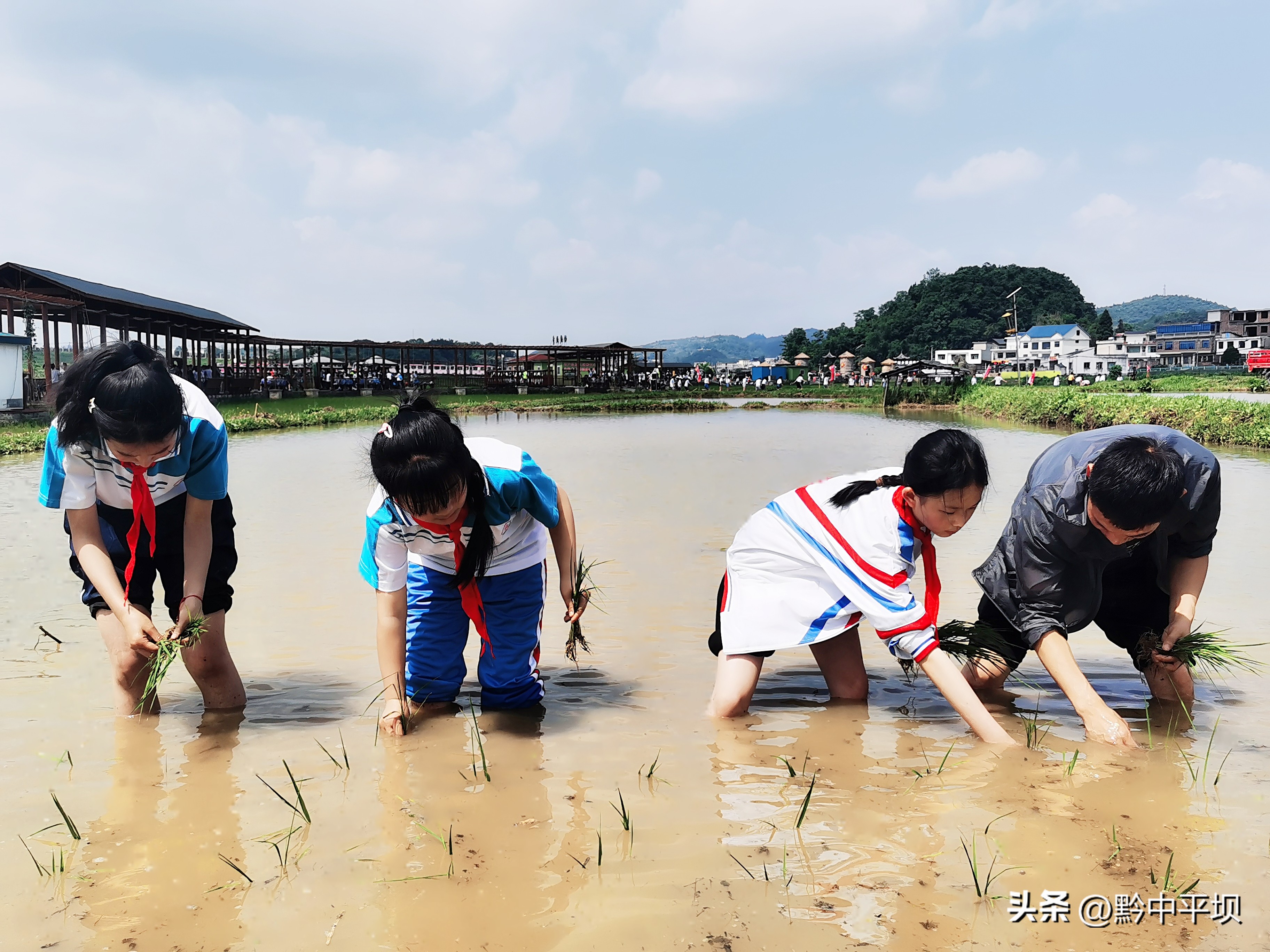 平坝昊禹米业的基地,平坝昊禹米业