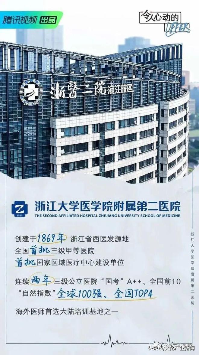 职场小白初入职场综艺,职场必看十大综艺