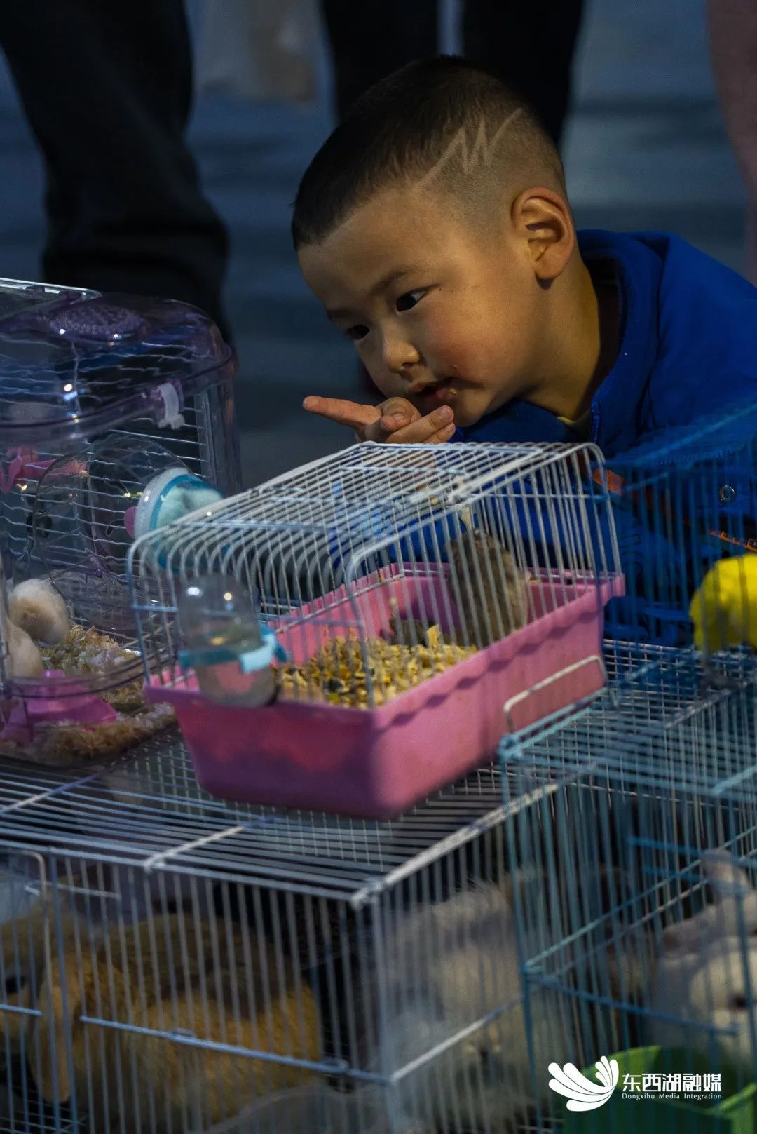 出摊啦！东西湖后备箱集市，你逛过吗？