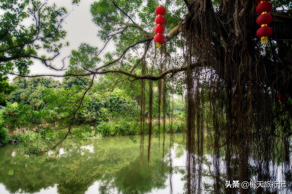 珠海长隆海洋王国五一开门吗,五一珠海哪个地方最好玩呢